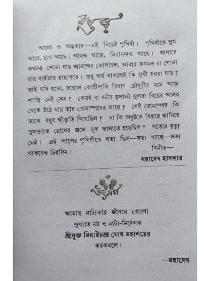Paper Prithibi