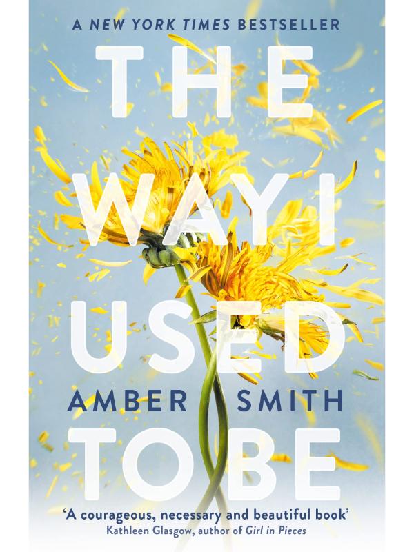 The Way I Used to Be by Amber Smith