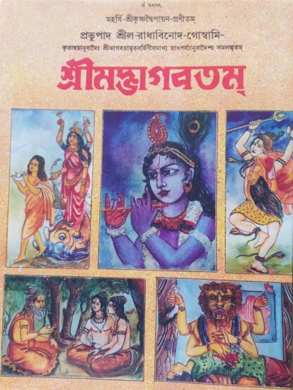 Srimadvagavatam | Srila Radhabinod Goswami | Girija Library